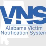VNS Logo Grey BG